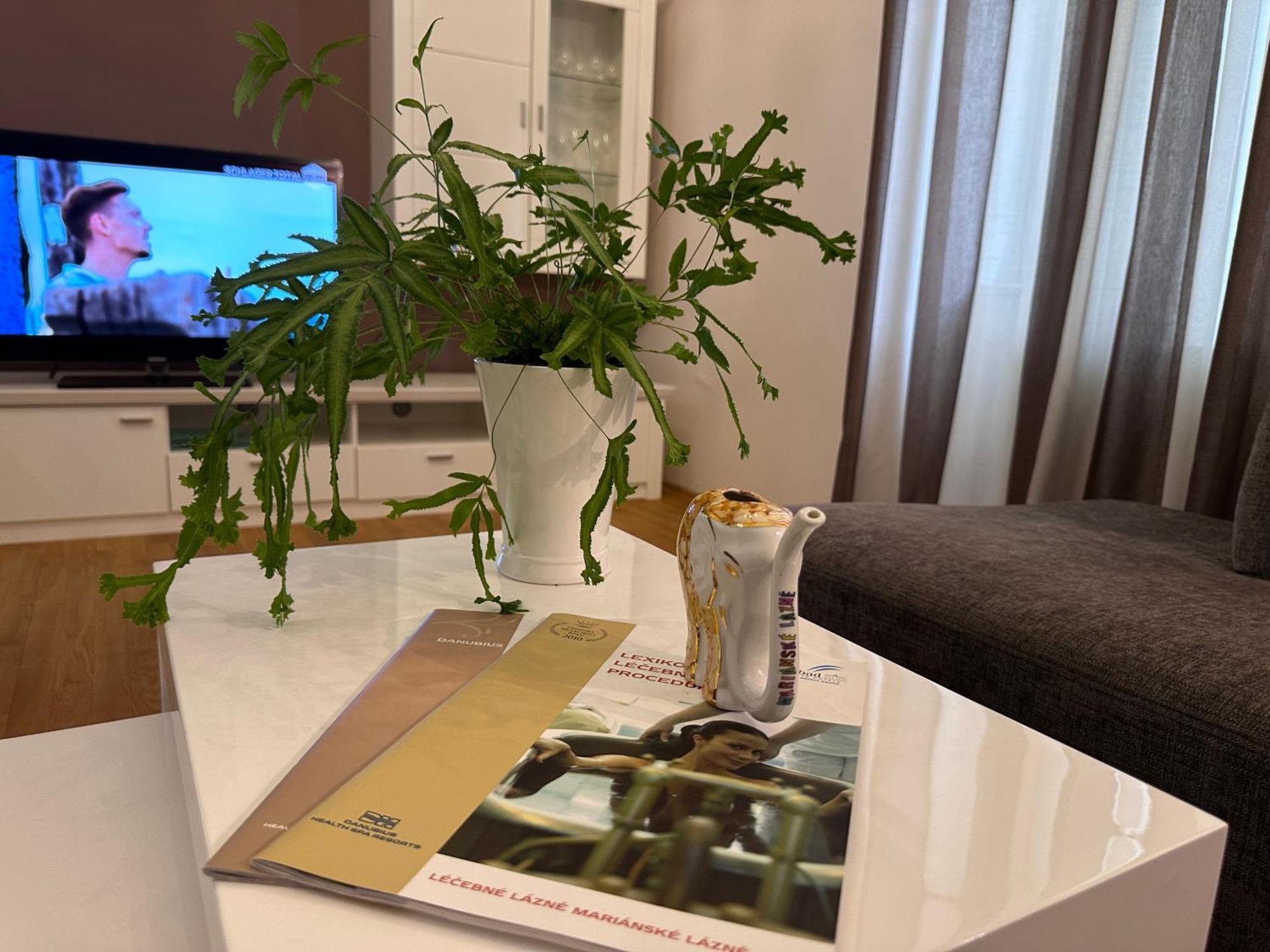 Apartament Marienbad Center Zewnętrze zdjęcie